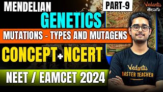 Mendelian Genetics  Mutations Types amp Mutagens  NCERT Biology  NEET 2024  EAMCET 2024  Ajay [upl. by Busey402]