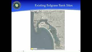 Eelgrass Public Meeting 19JUL23 Video [upl. by Bradway28]