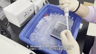 Real Time PCR qPCR [upl. by Elocon]