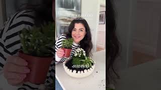 countryhomeni shares how to make EASY DIY Indoor Planter Bowl🌼 [upl. by Anyrtak]