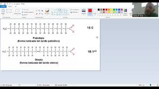 CURSO PREFINAL BIOLOGÍA 2024  PEQUEÑAS Y MACROMOLÉCULAS [upl. by Noryv]