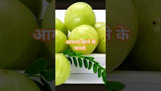 amla food fruit rajivdixitjivagbhatasayurveda rajivdixit amlakefayde benefitsofamla [upl. by Llehsram]