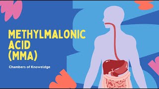 Methylmalonic Acid MMA Blood Test [upl. by Pietrek212]