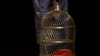 The Monty Python Dead Parrot Sketch  1989 version [upl. by Niwrehs]