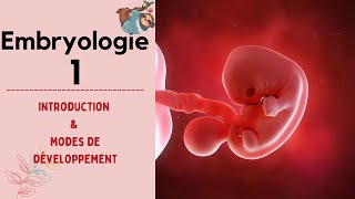 Embryologie  introduction  mode de développement  2021  شرح بالدارجة [upl. by Fitzpatrick]