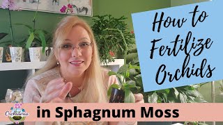 Fertilizing in Sphagnum Moss 3 Incredible Methods for Orchid Growth [upl. by Akkina]