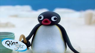 Best Episodes from Season 3  Pingu  Official Channel  Cartoons For Kids [upl. by Tur589]