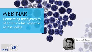 Webinar Connecting the dynamics of antimicrobial response across scales [upl. by Enytnoel]