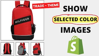 TRADE Theme V15  How to Display Only Selected Color images Product Page in Shopify [upl. by Nnaoj]