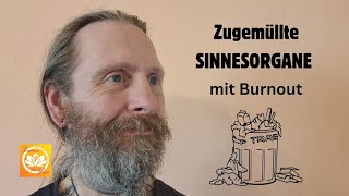 Zugemüllte SINNESORGANE mit Burnout [upl. by Berke254]