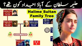 Halime Sultan Family Tree  Seljuk Wife of Ertugrul Ghazi [upl. by Alethea204]