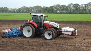 Mais zaaien met Steyr 6220 Absolut CVT en 8 rij Monosem zaaimachine  Zandman Beerze 2023 [upl. by Amias]