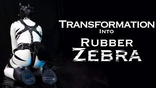 Transformation into Rubber Zebra  ASMR [upl. by Finella255]