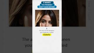 Learn 5 Names You Have Never Heard of before  English Vocabulary Builder [upl. by Olracnaig]