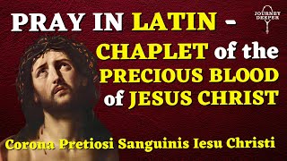 LATIN Chaplet of the Precious Blood of Jesus Christ [upl. by Michey]