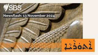 Newsflash 13 November 2024  SBS Assyrian [upl. by Holden]