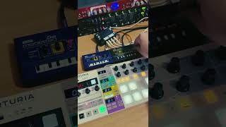 Monotron Delay and Duo with CV mod driven by Beatstep Pro ⚡️monotron korg jam beatsteppro [upl. by Thessa]