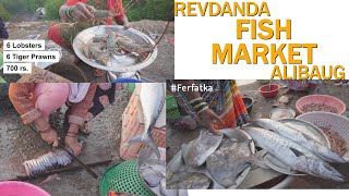 🐟🦐रेवदंडा होलसेल फिश मार्केट  Alibag Fish Market 🦐 Alibag  Revdanda fish fishing fishmarket [upl. by Yeffej]