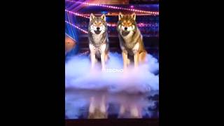 OMG 😳😱 THIS GUYS SHOCKED HOLE AGT JUDGES AND PEOPLE 😱😳 WATCH UNTIL THE END 🔚 agt foryou goviral [upl. by Alyekahs]