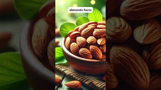 Health Benefits of Almonds Why You Should Eat Badam Daily 🥜✨ food foodiefacts shorts [upl. by Gyasi711]