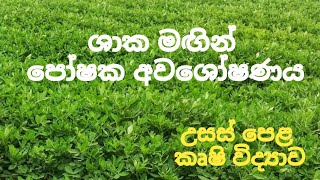 ශාක මගින් පෝෂක අවශෝෂණය​ ALAgriculturalScience [upl. by Yggam]