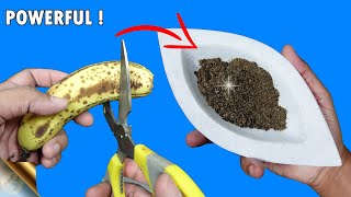 CORRECT METHOD TO MAKE BANANA PEEL FERTILIZER AND TEA TO BOOST BLOOMS [upl. by Llerrat]