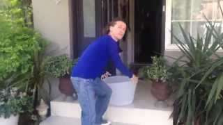 Umbilical Brother ALS Ice Bucket Challenge [upl. by Lamak]