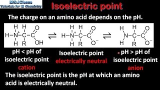 B2 Isoelectric point of amino acids SL [upl. by Alrats98]