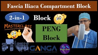 RA Masterclass Ultrasound Scanning Session  PENG Block  FICB  2in1 Block  DrTuhinM [upl. by Gauntlett]