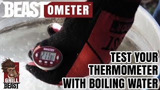 Test Your Thermometer with Boiling Water the Right Way  Grill Beast [upl. by Madlin469]