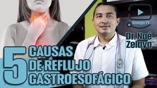 👨🏻‍⚕️REFLUJO GASTROESOFAGICO causas síntomas y tratamiento  Dr Zelaya [upl. by Haissi322]