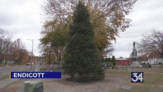 Endicott replaces holiday tree [upl. by Ateerys]