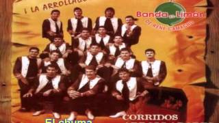 El chuma  La Arrolladora Banda el Limón [upl. by Aihsit]