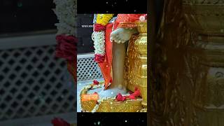 Shirdi Saibaba Kakad Aarti Live Darshan Today  काकड आरती  shorts [upl. by Nolrak]