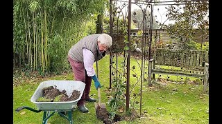 COMMENT BIEN PLANTER ET PALISSER UNE PLANTE GRIMPANTE ÉMISSION JARDINER ÇA FAIT DU BIEN N° 17 [upl. by Ailec]