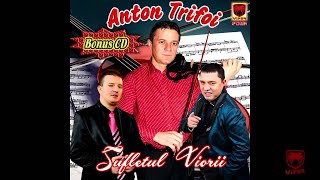 Anton Trifoi  Joc tiganesc [upl. by Eseret577]