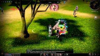 Metin2  PvP mental 70 vs 100 110120160 [upl. by Ellek552]