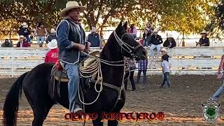 LOS NIÑOS CORRETEANDO EL PUERKO EN EL PALOMINOS DE BAKERSFIELD CA 91724 [upl. by Margalit]