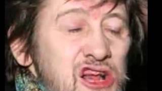 shane macgowan  silent scream [upl. by Flore]