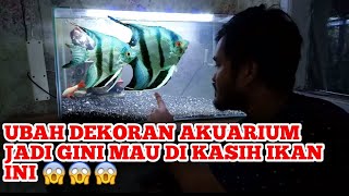 Ikan manfish ikan yg mirip layangan [upl. by Eciryt914]