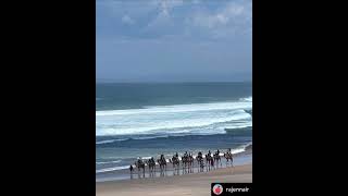 terrigal beach nelsonbay nsw australia [upl. by Halil]