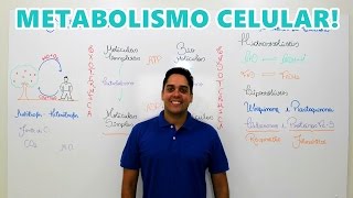 METABOLISMO CELULAR  INTRODUÇÃO [upl. by Fineberg]