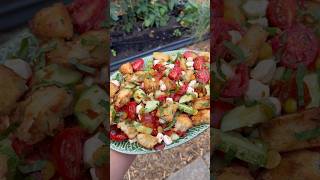 Panzanella gardenharvest gardening gardeninginspiration gardentotable [upl. by Ailahk]