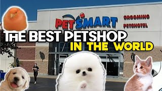 PETSMART City of Industry • THE BEST Pet store in the WORLD [upl. by Namron]