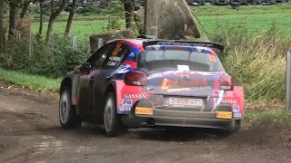 Rallye du Condroz 2022  Shakedown  Action  Pure Sound [upl. by Enyt]