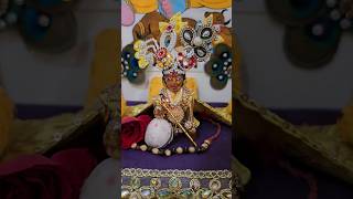 Laddugopal shringar  thakorji Krishnaji Daily Vlogs  kano dwarika vado music krishnaji god [upl. by Bogey]