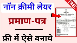 Non Creamy Layer Certificate Online Apply 2024  OBC NCL Caste Certificate kasie banaye [upl. by Ilonka]