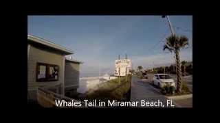 Whales Tail in Miramar Beach Florida is a great place to hang out [upl. by Dulcinea224]