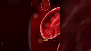 The Science of Stem Cell Therapy [upl. by Karas]