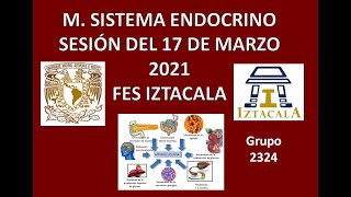 M Sistema Endocrino Sesión del Miércoles 17 de Marzo del 2021 [upl. by Dorreg]